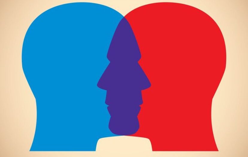 Political Views and Real Life: How Ideology Shapes Our Everyday Choices.