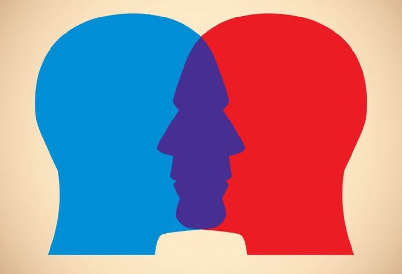 Political Views and Real Life: How Ideology Shapes Our Everyday Choices.